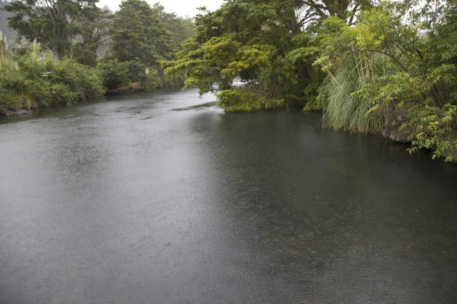 Rain on river.jpg