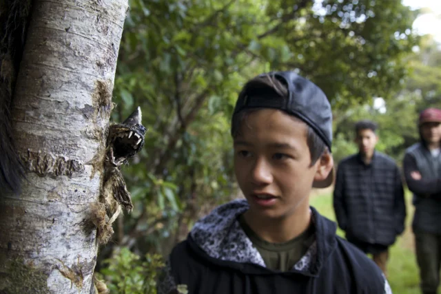 Student examines stoat pinned to a tree.jpg