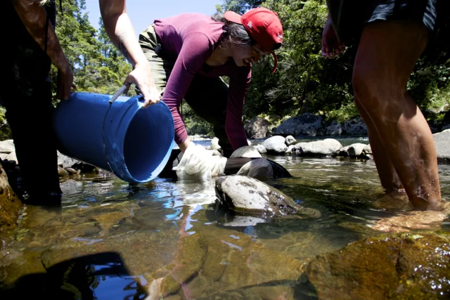 student returning large tuna to safe pool 2016.jpg