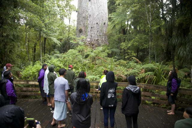 Students at foot of Tane Mahuta.jpg