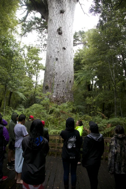 Students at foot of Tane Mahuta:2.jpg