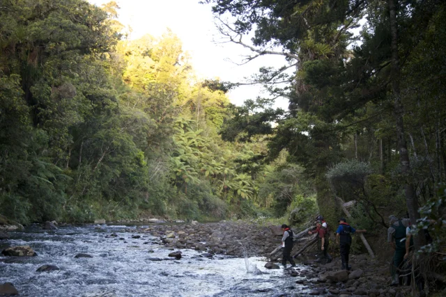 Students on the Waipoua River nice of the awa.jpg