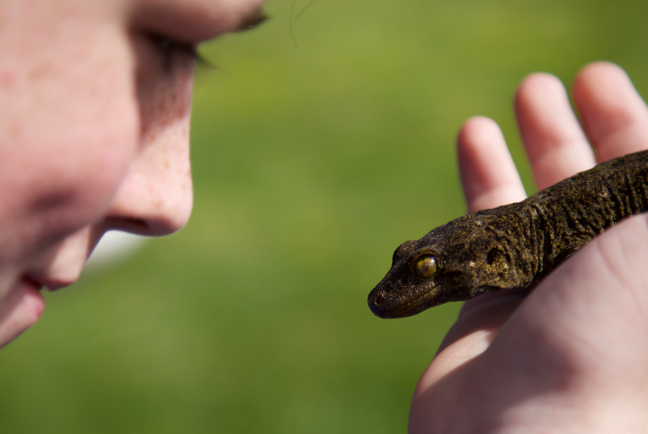 There are few things quite like the ambassadorial potential of a close encounter with native wildlife to generate enthusiastic and committed conservationists.