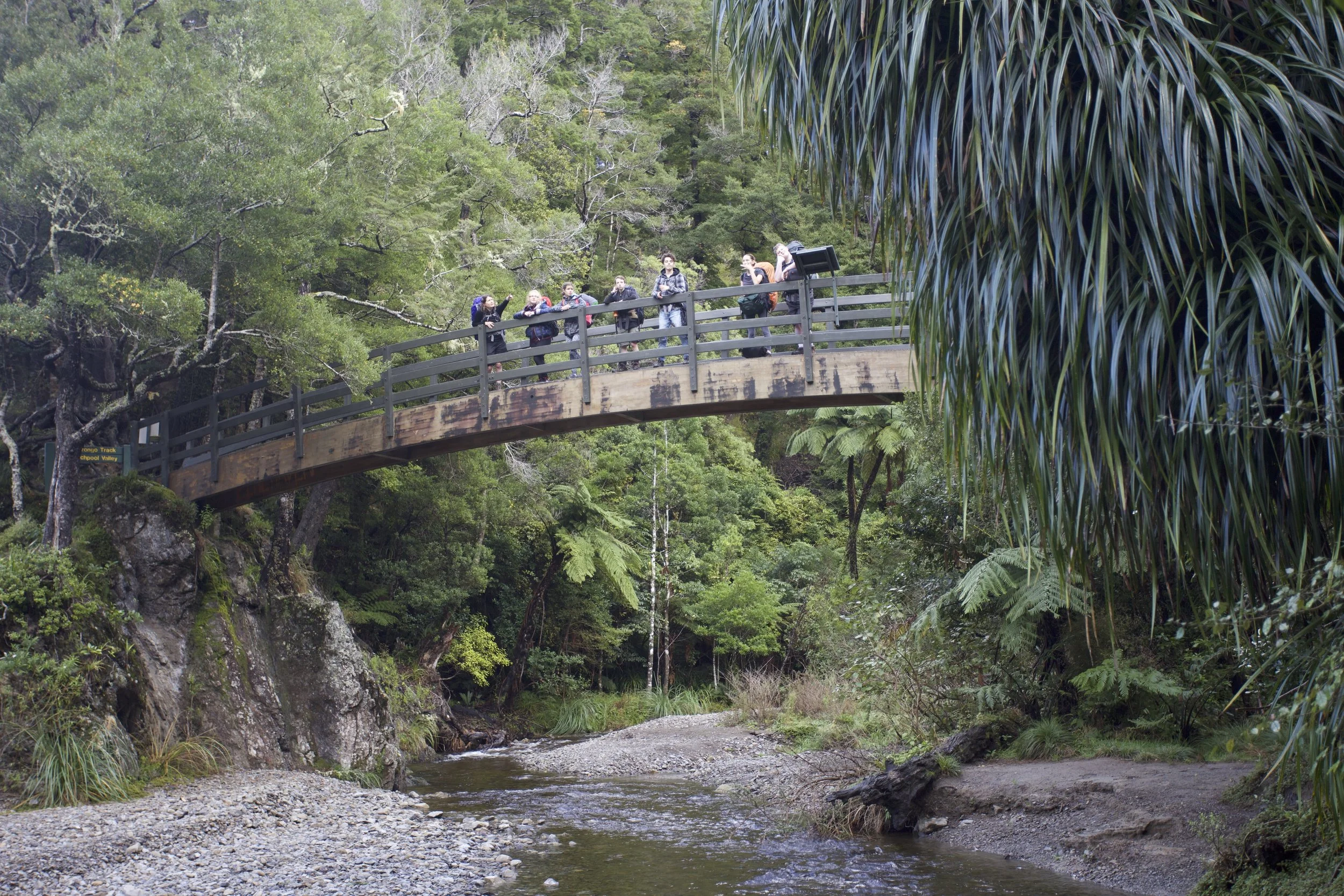 Student leaders from Wellington High School, Onslow College and Newlands College in the Rimutakas participating in the Papa Taiao Predator Free Secondary NCEA assessment camp.