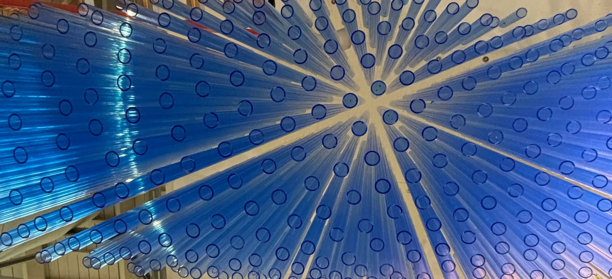 image_1774449300660.jpg