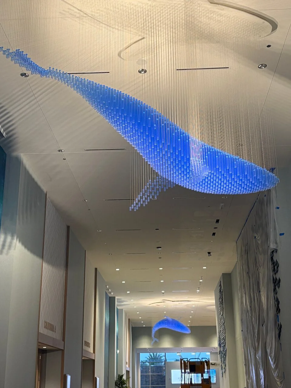 Local Language - Suspended Whales - INSTALLED4.jpg