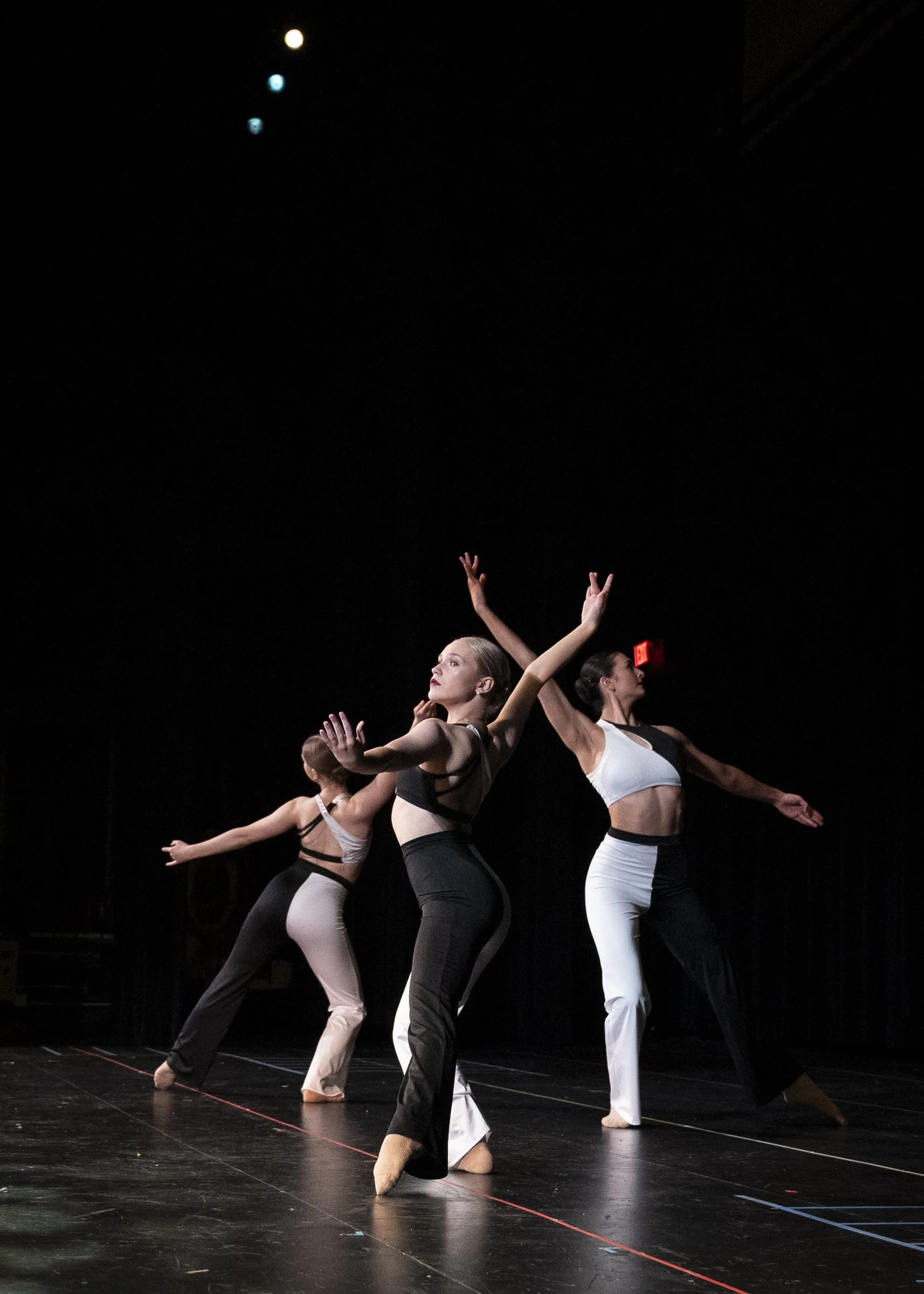 WDAShowcase_NinoG2024-446.JPG