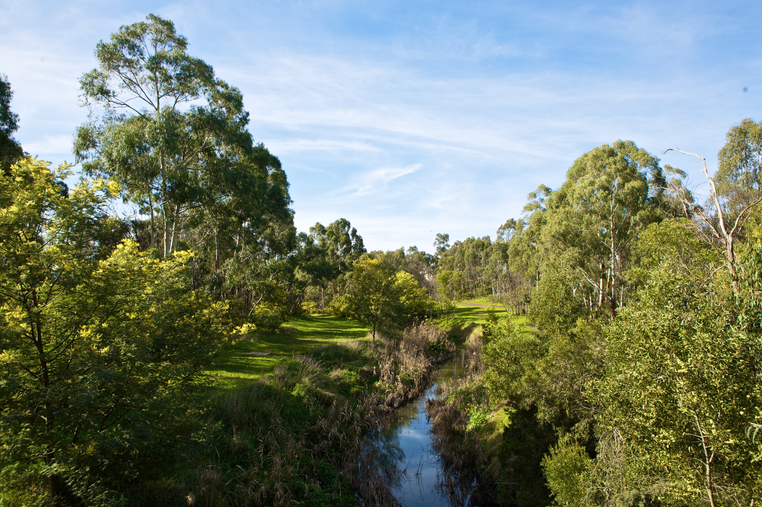 Darebin Creek Trail