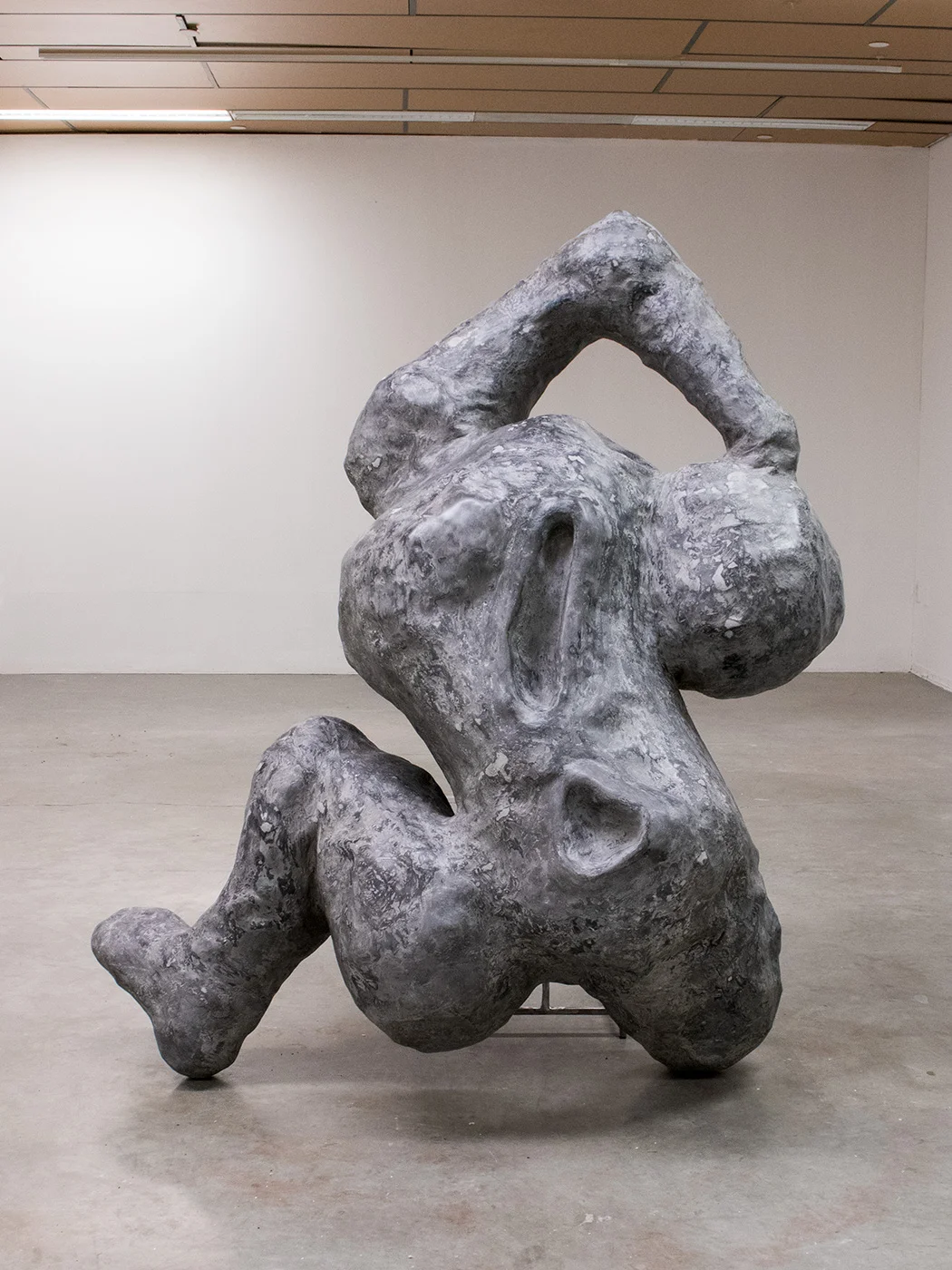 Fiberglass-reinforced gypsum cement, carved polystyrene, ink, paste wax, steel, vinyl tubing, stainless steel hardware silicone, plaster, oil of milk, water, & glass. 70” x 58” x 138”