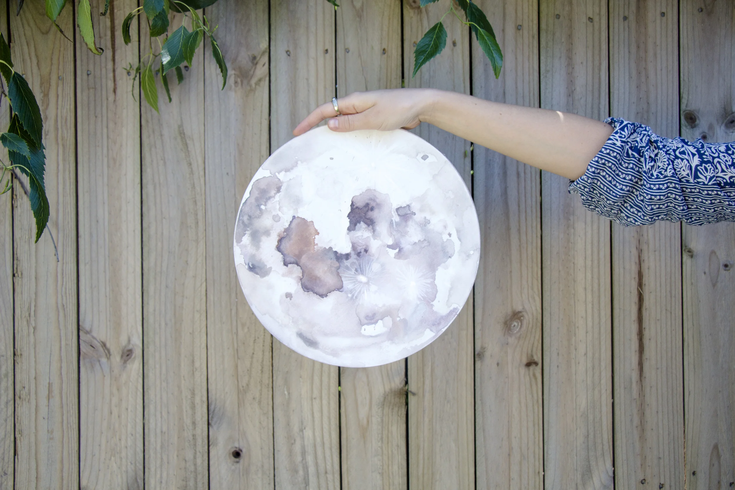 Desert Moon Holding 3.jpg