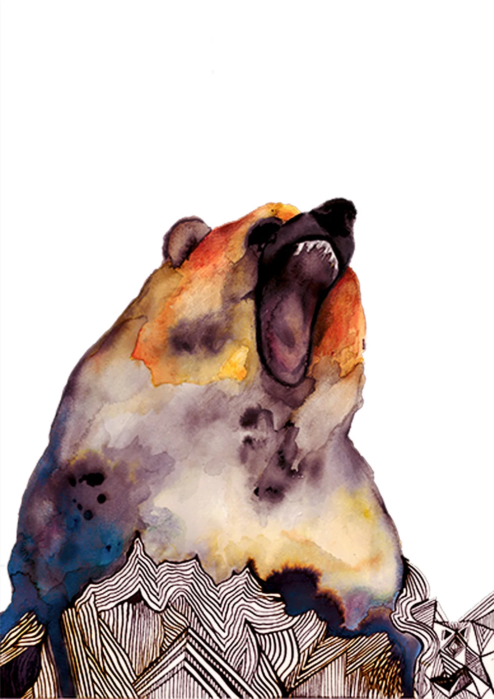bear.jpg