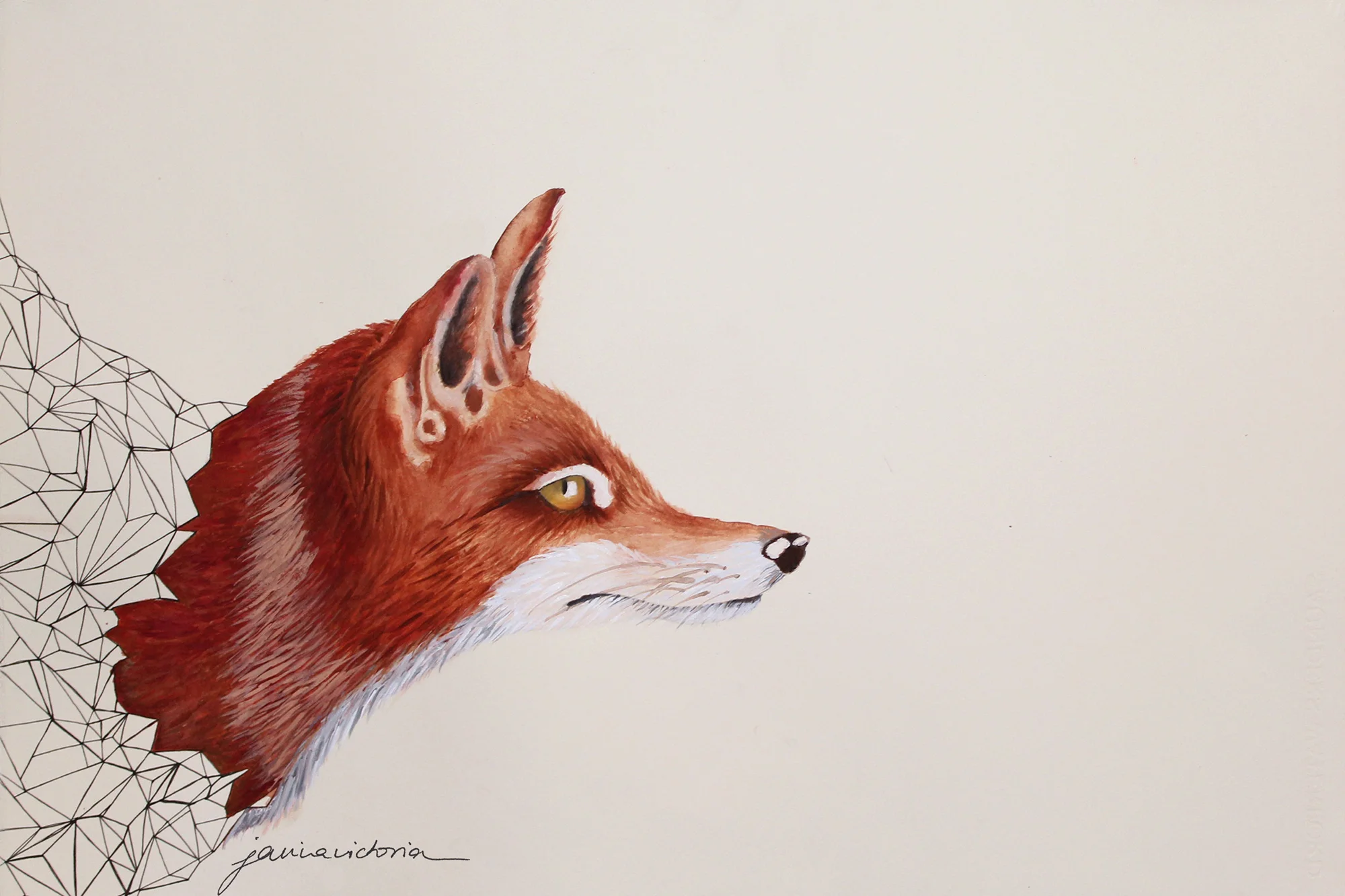 fox_colour+copy.jpg