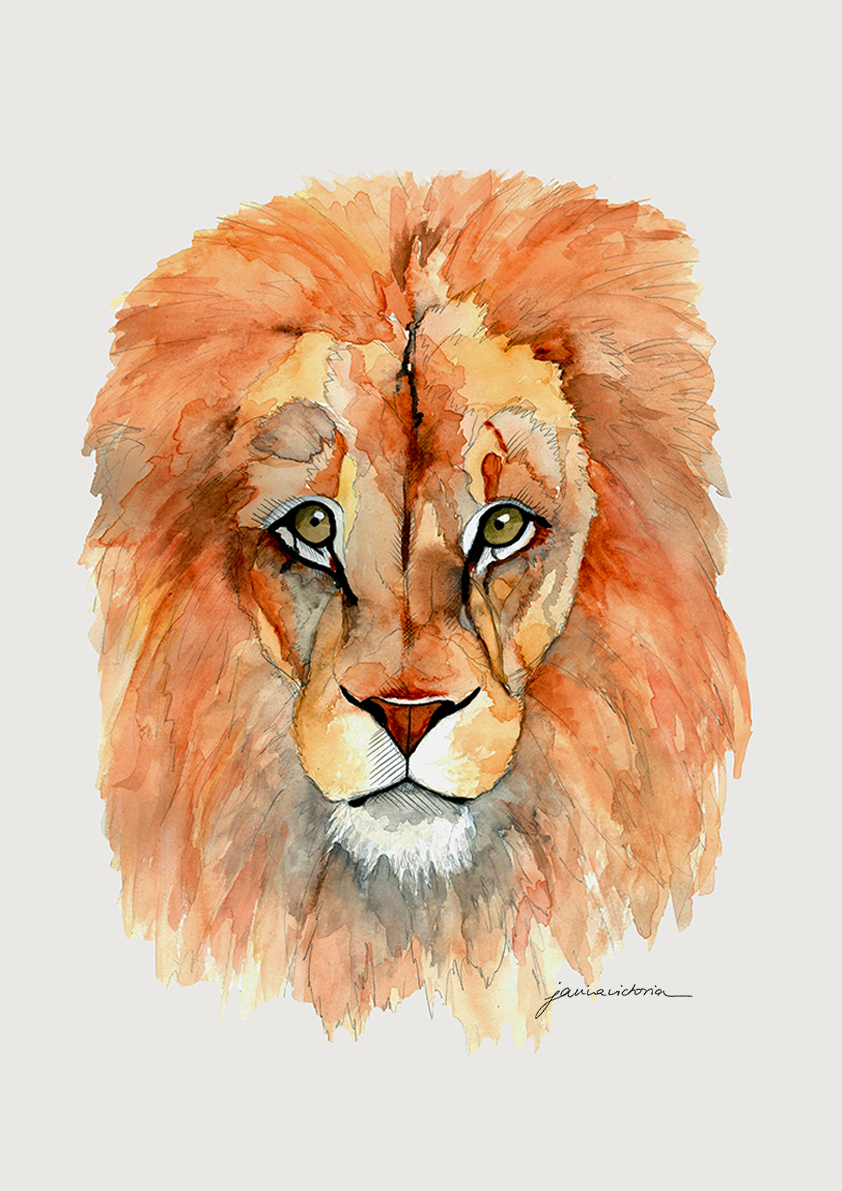 Lion.jpg