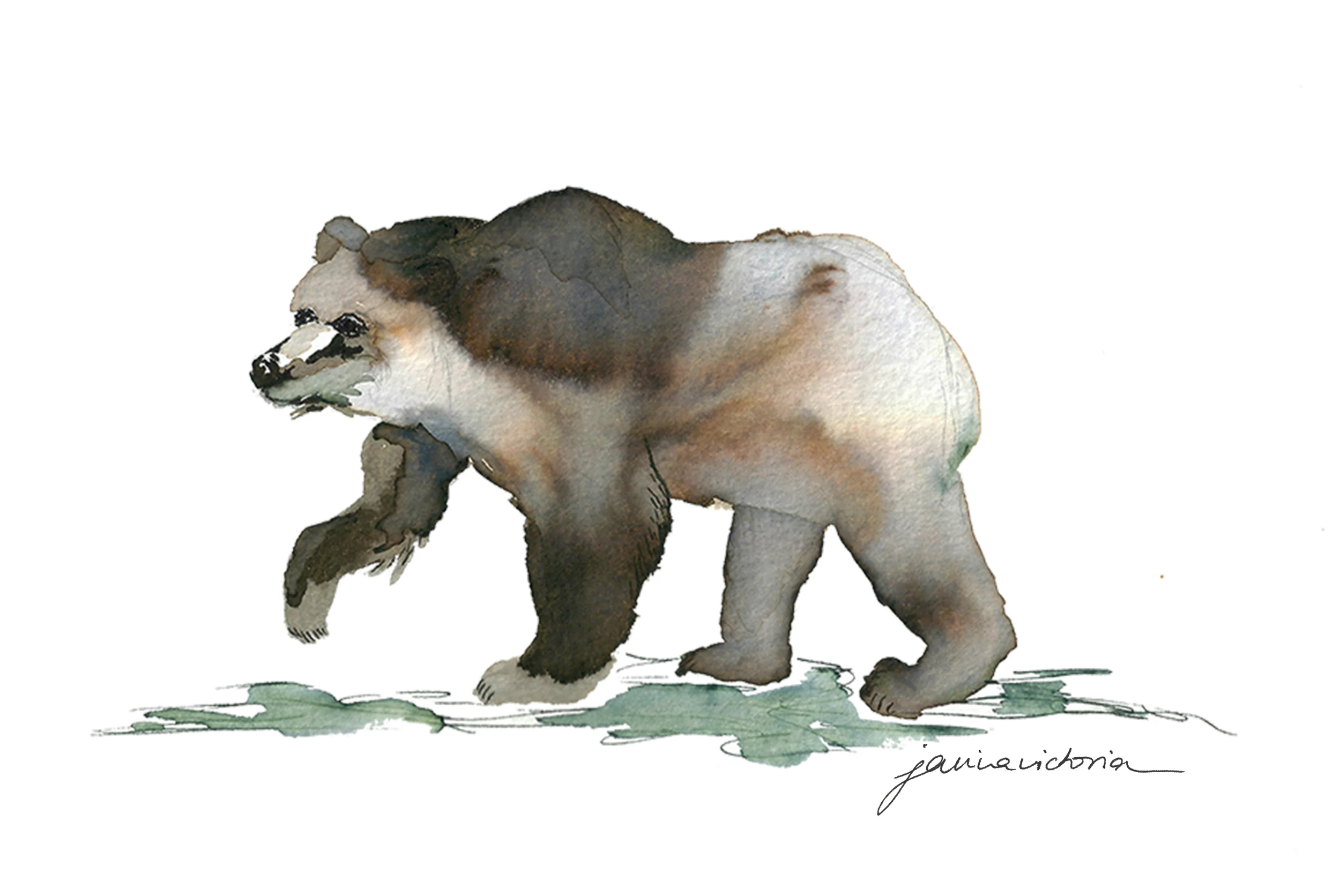 polar+bear.jpg
