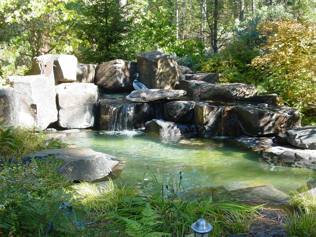DSC00335_web.jpg
