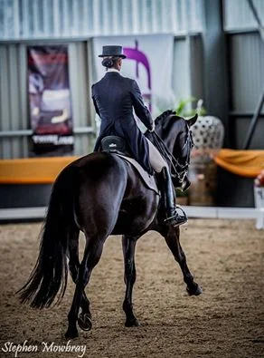 Don Rubin - Advanced Freestyle, 2013 Saddleworld Dressage Championships.