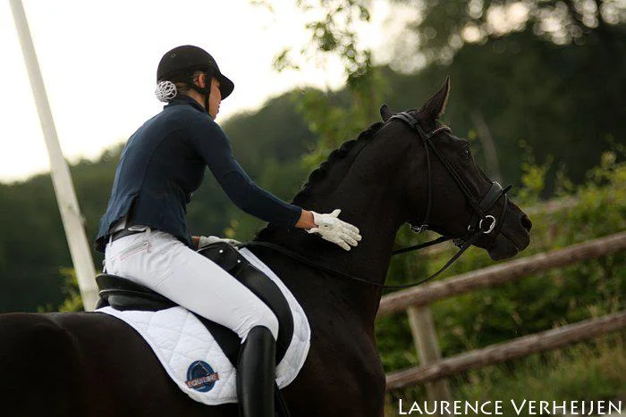 Natasja Van Den Bogaert Dressage Clinic
