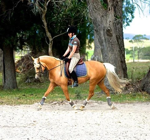Thirlstane, Tasmania Clinic