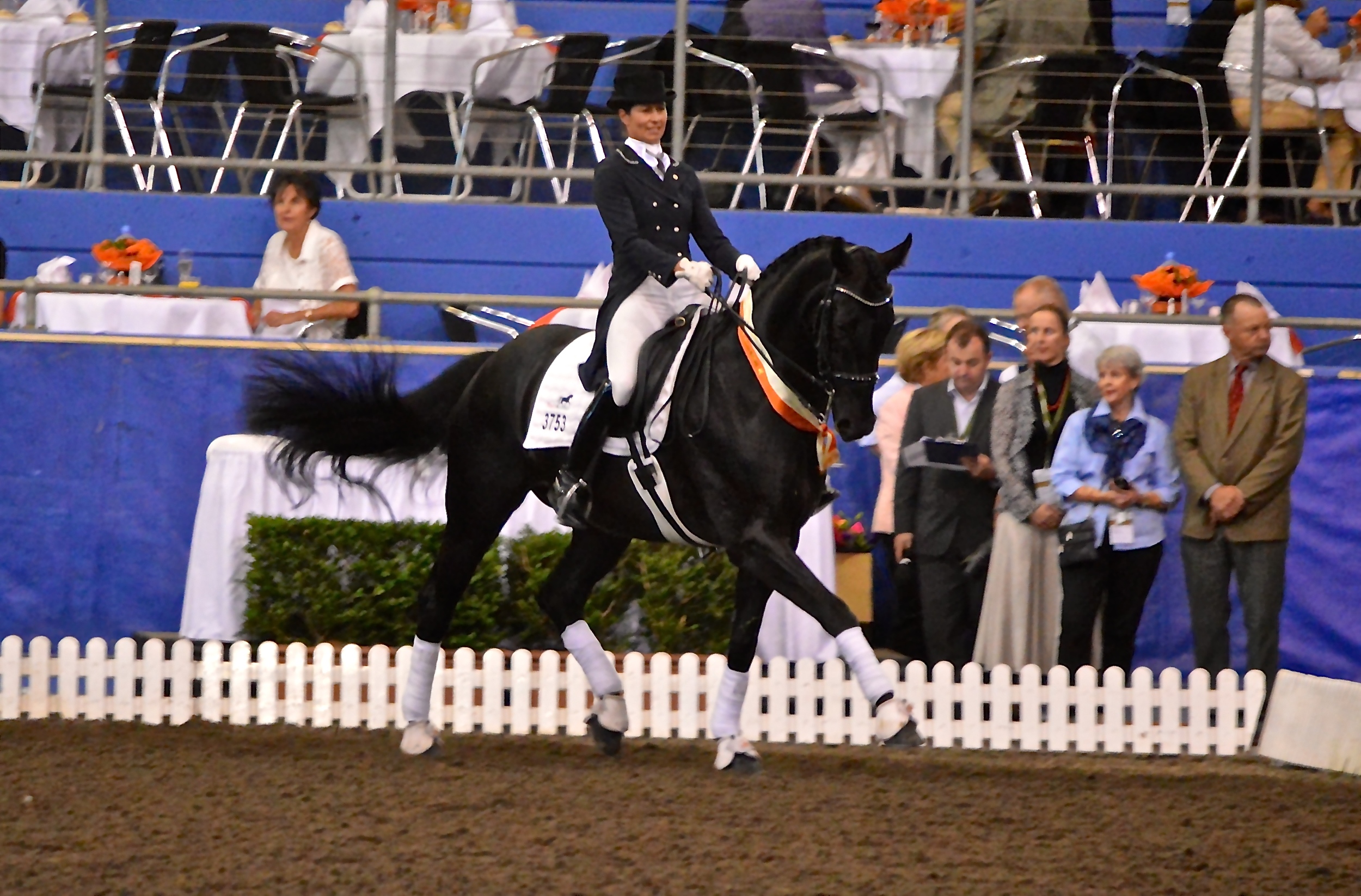 Callum Park Equestrian