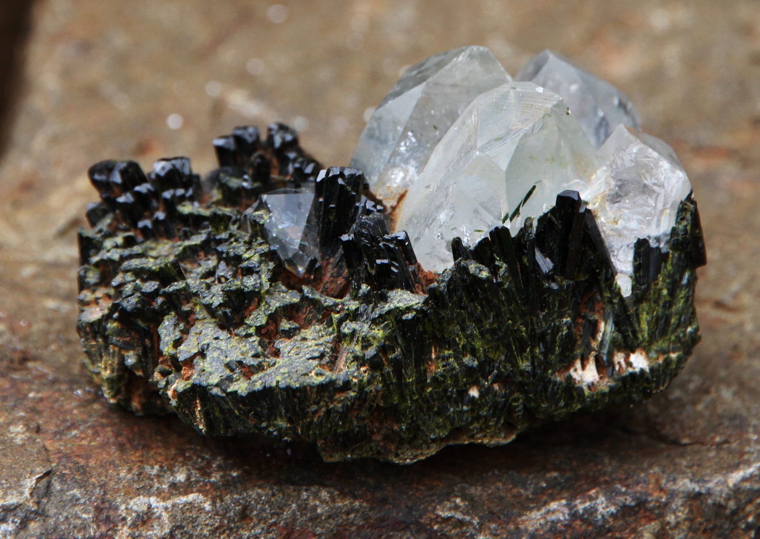 q w tourmaline cluster 2.jpg