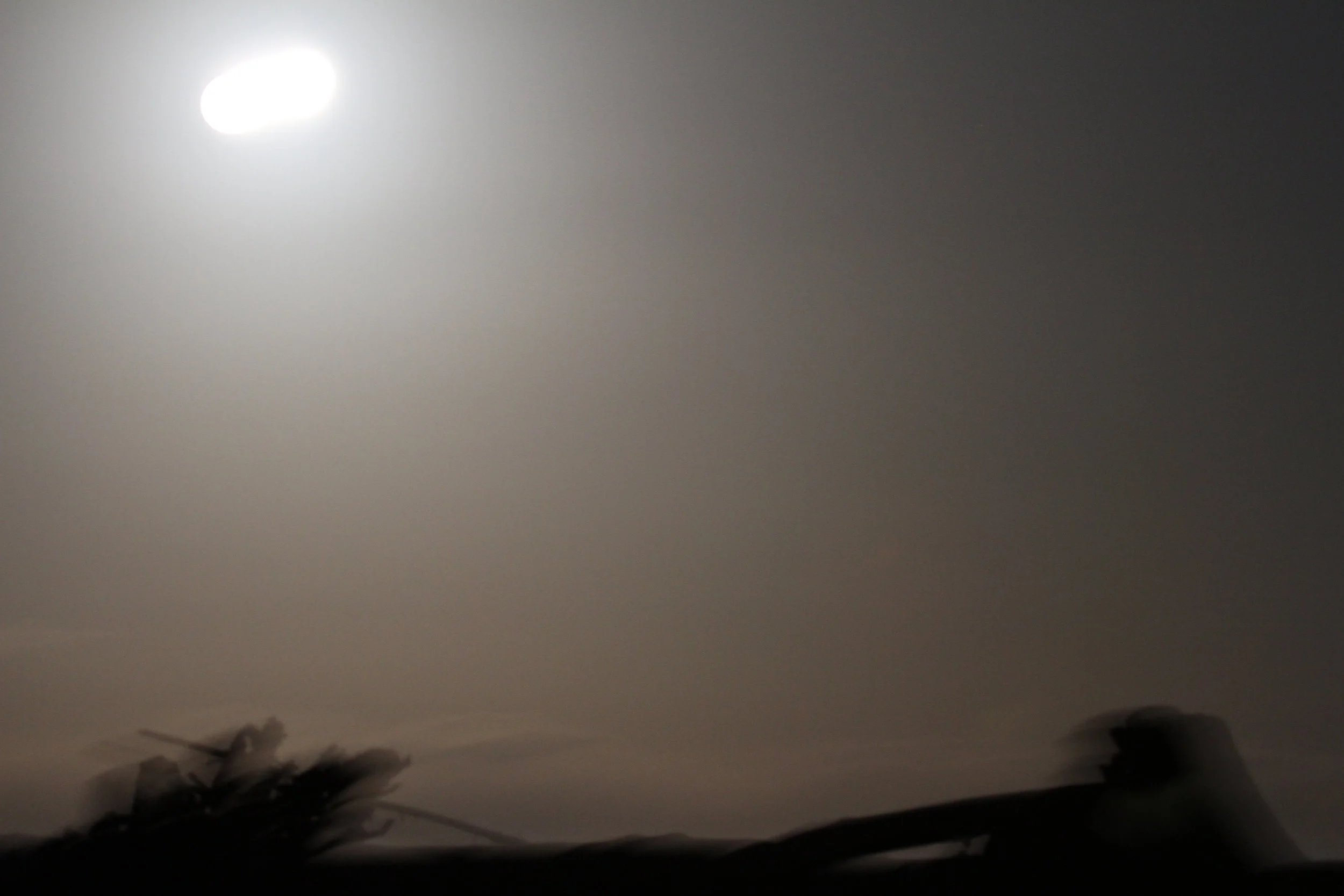Strong winds messed with the focus on a long exposure image at Damon Point. Tanya Pluth photo.