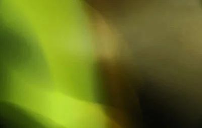 brakhage1.jpg