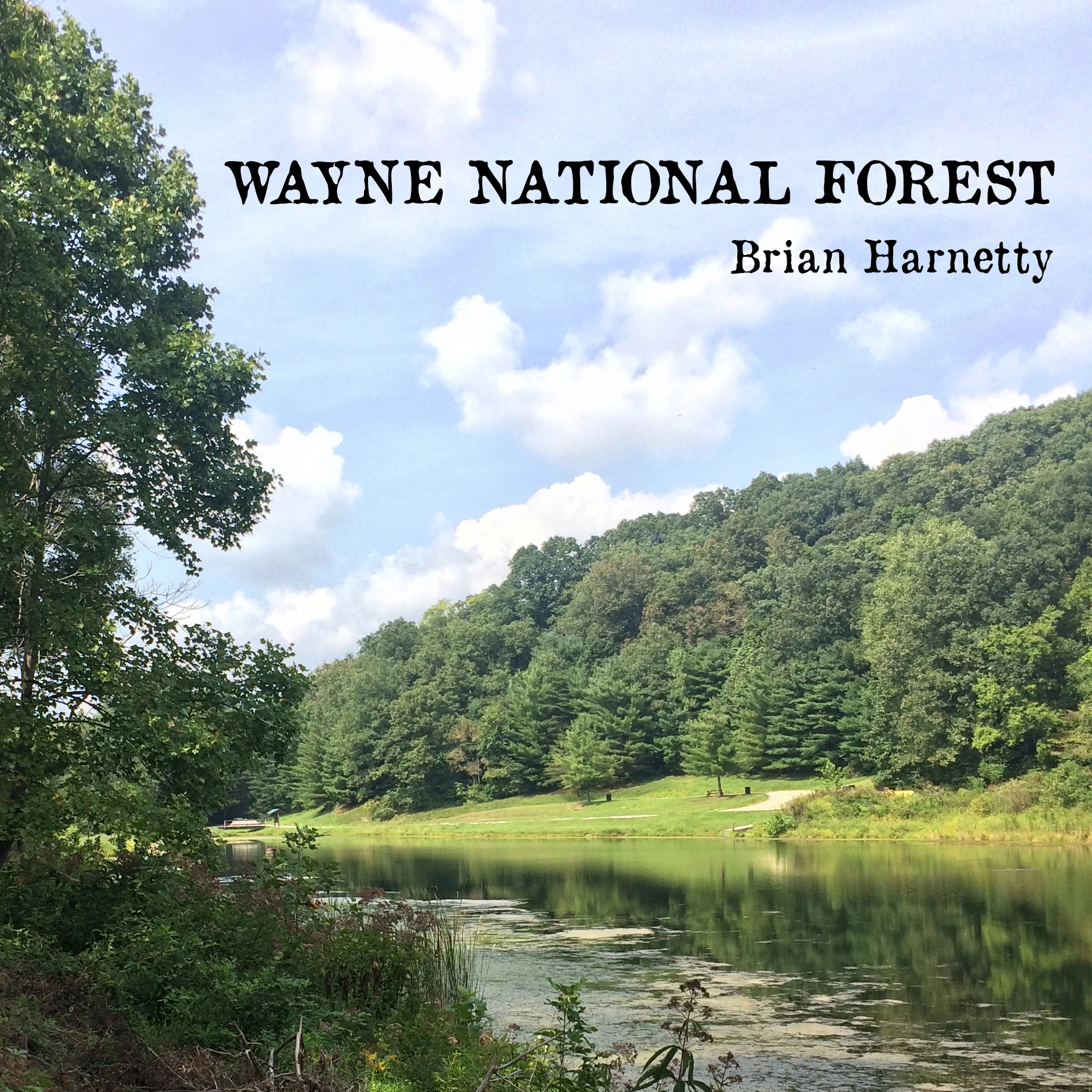 Wayne National Forest Cover_Bandcamp.jpg