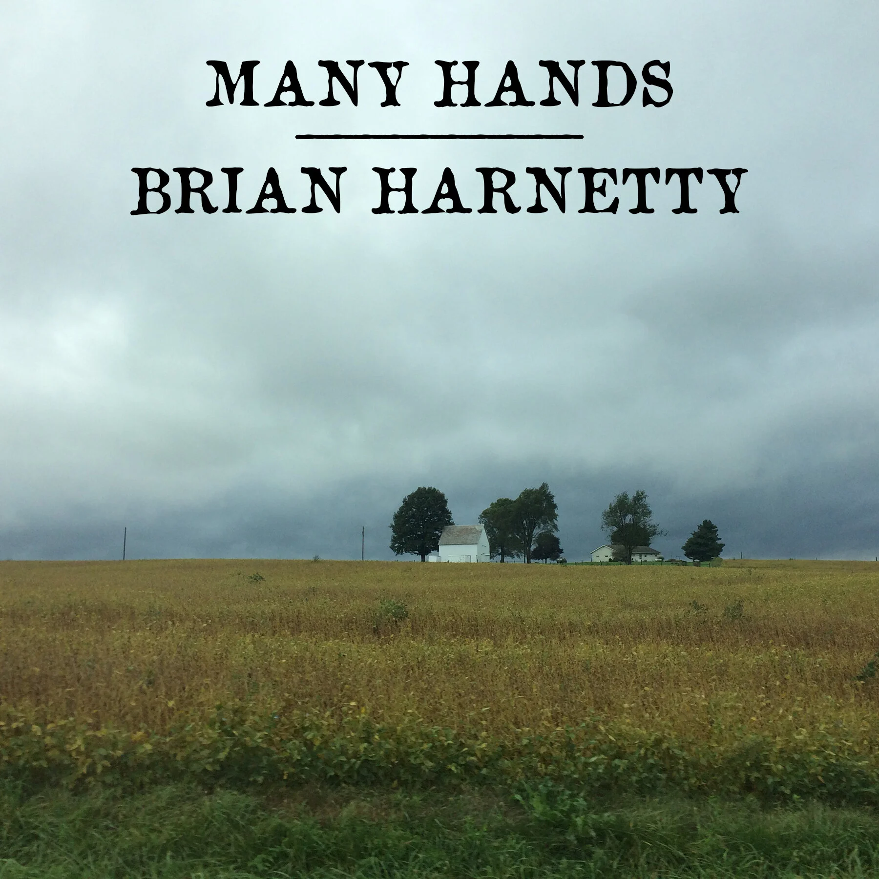 Many Hands_Cover.jpg