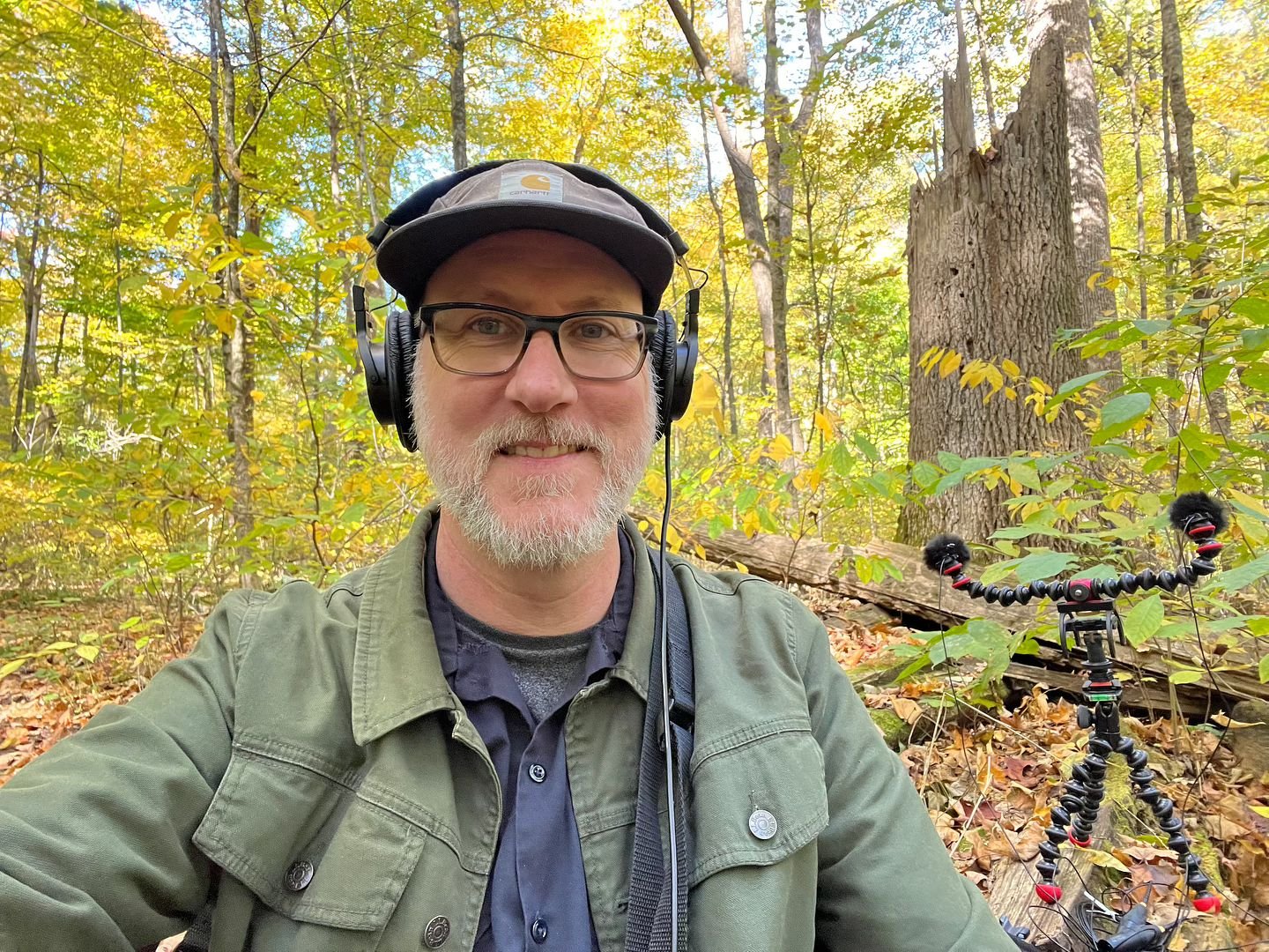 Old growth forests in Ohio? Yes! Have one all to yourself on a perfect fall day? Yep!