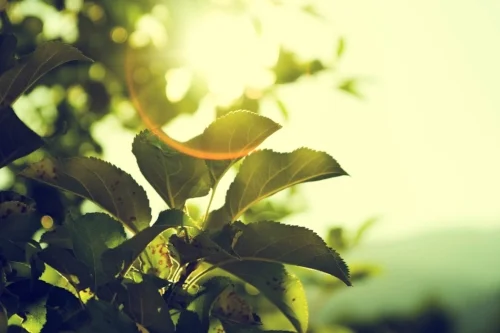 Photo by Micah H on Unsplash.com