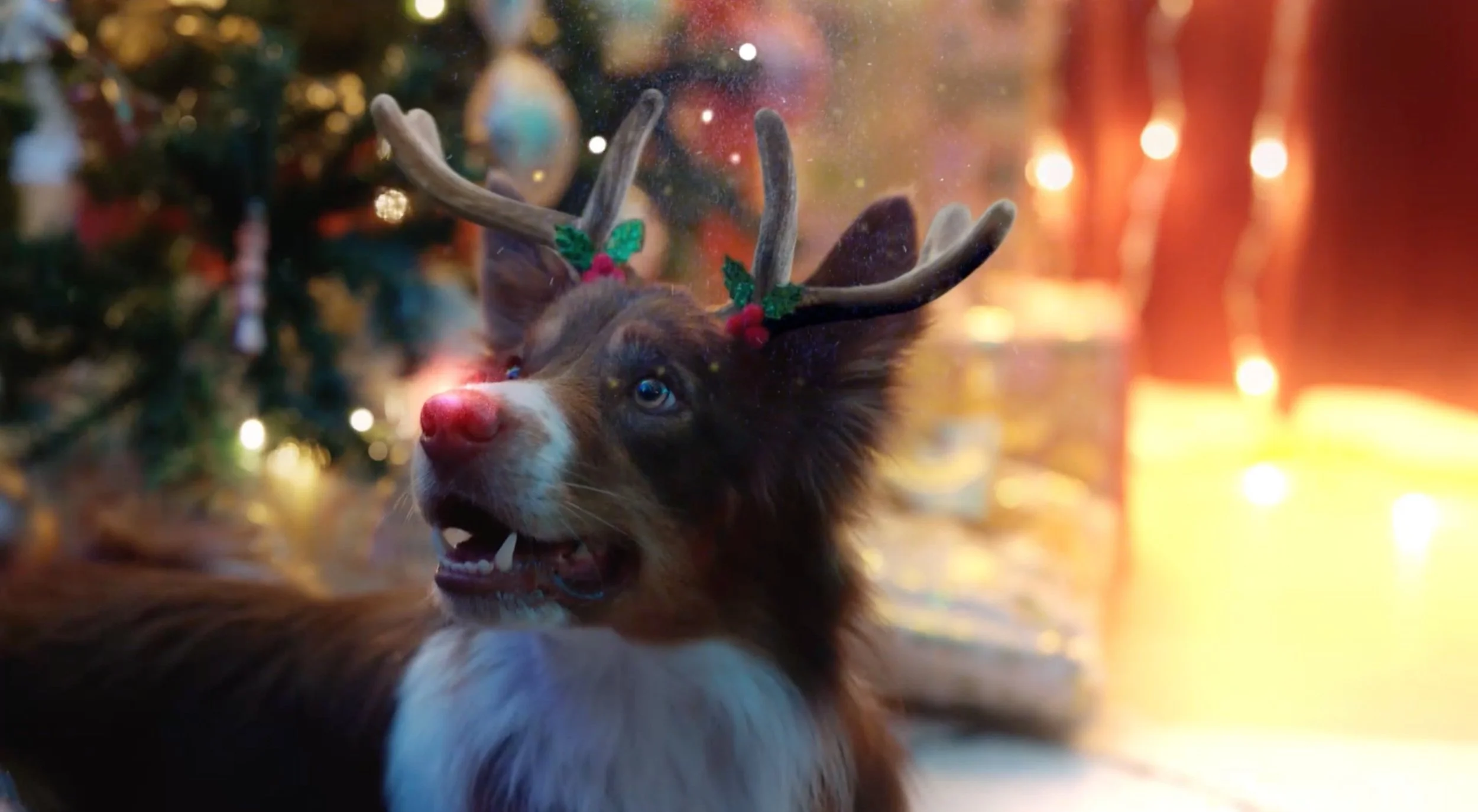 BIG W Christmas || Make a little magic