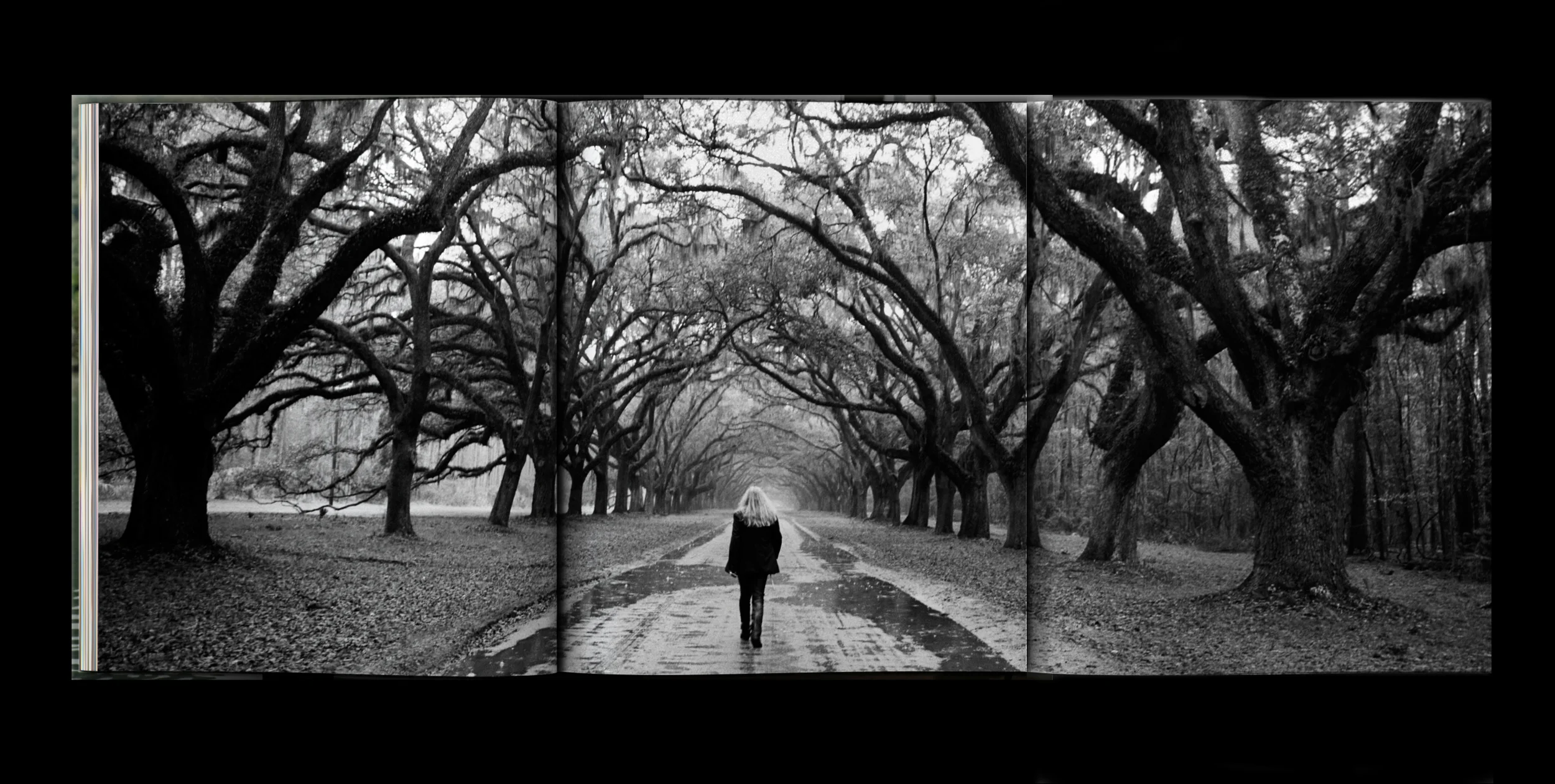 STILL-MOVING_GATEFOLD-1.jpg