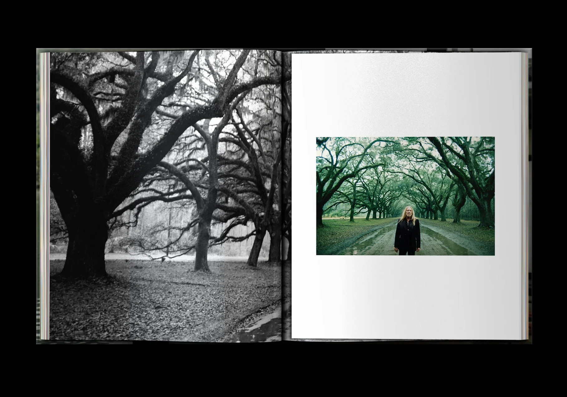 STILL-MOVING_GATEFOLD-2.jpg