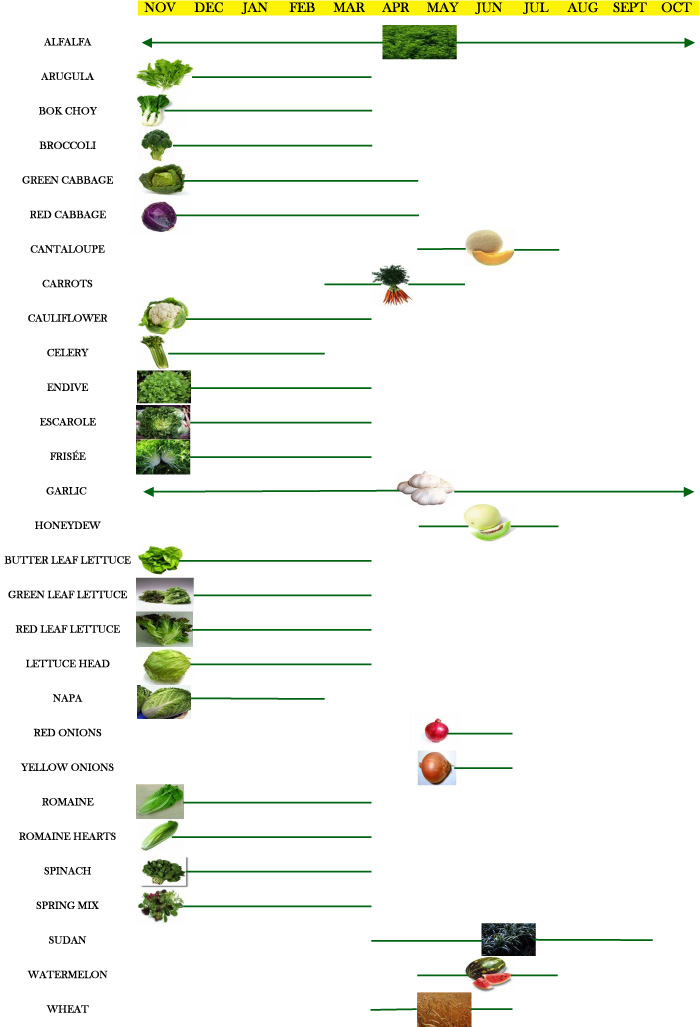 CropCalendar.jpg