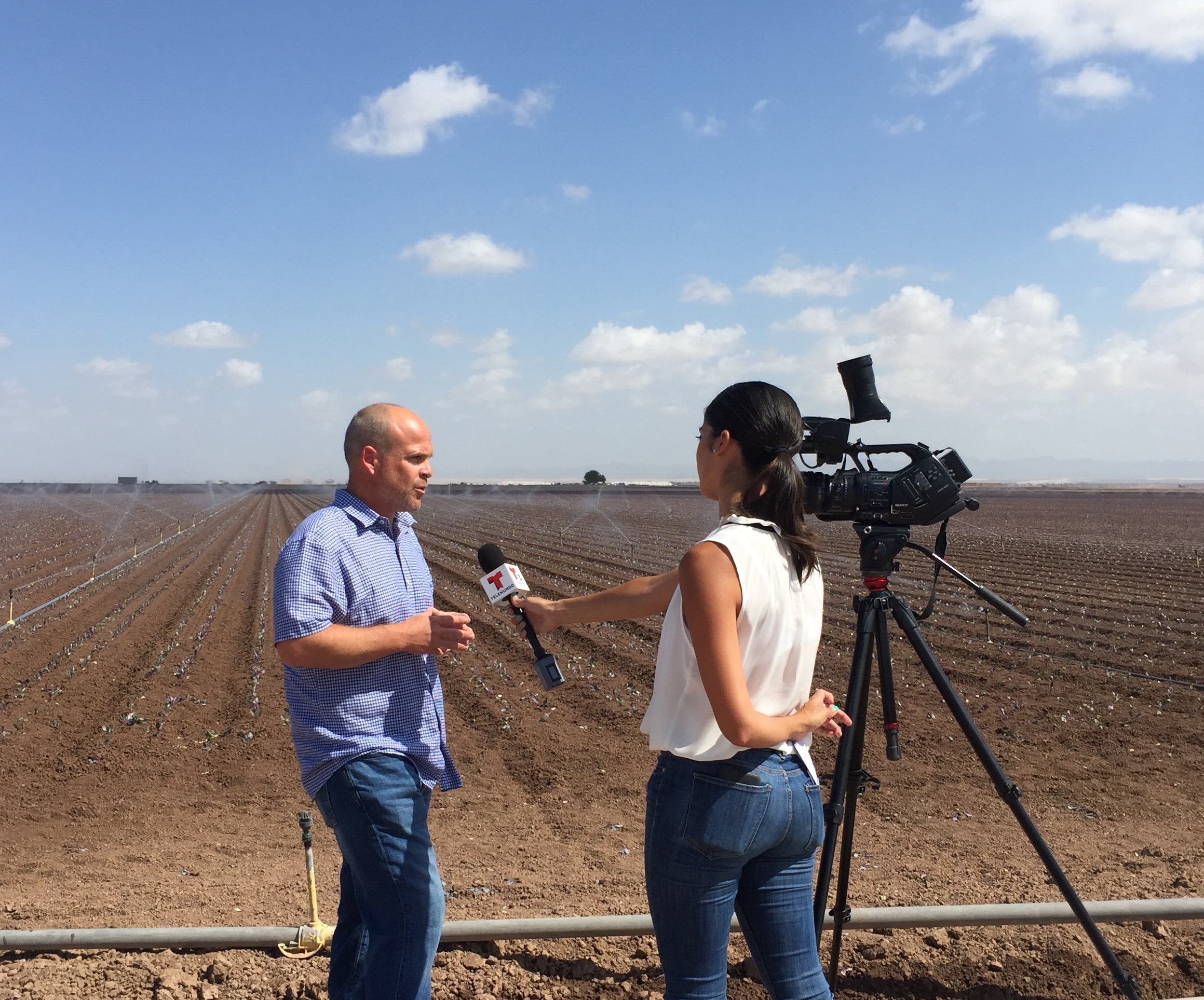 Jack was interviewed on Friday, August 26, 2016 regarding AB 1066 and the negative impact it would have on his employees. Unfortunately, the Assembly Bill passed on Monday, August 29. 