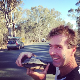Why did the tortoise cross the road?