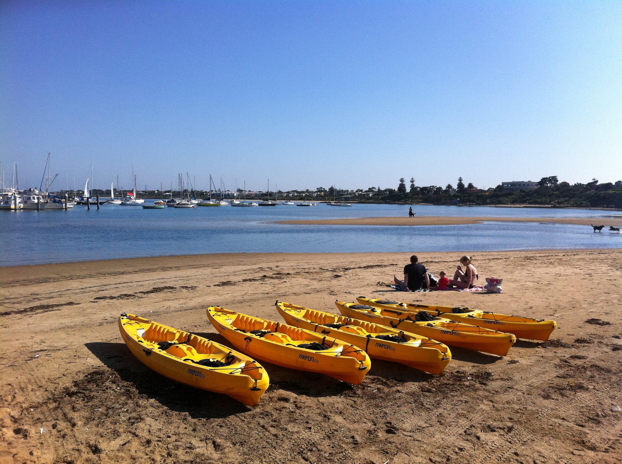 Sit on Top Kayaks