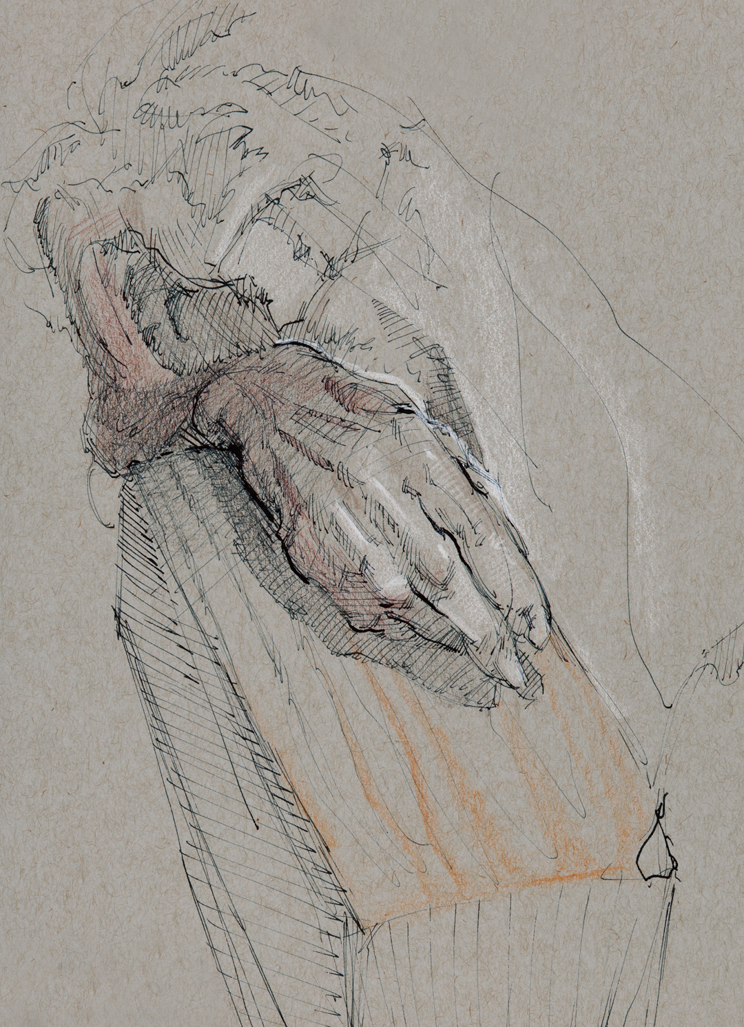 Ink and oil pencil on paper