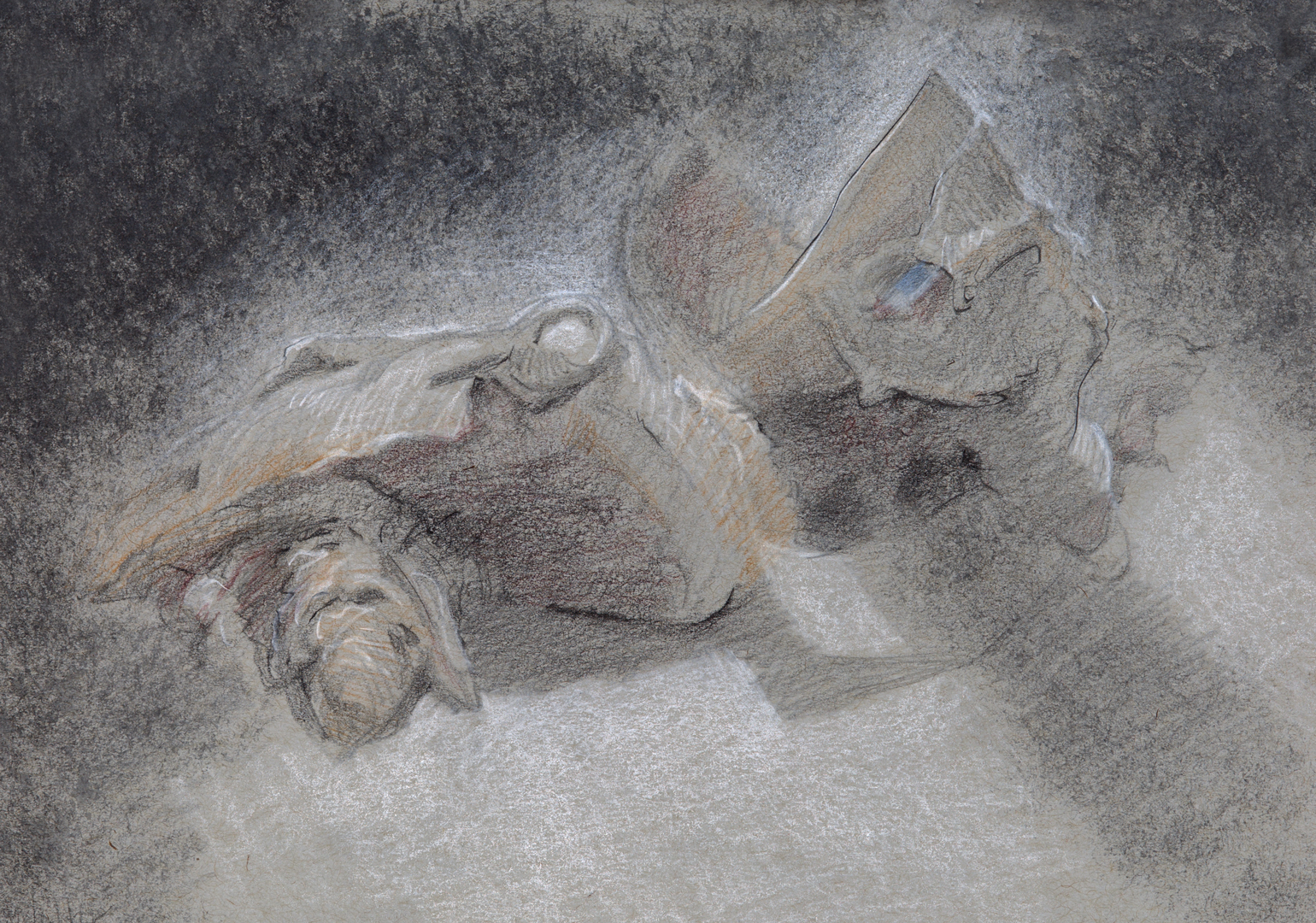 The med students at Drexel studied the anatomy of the head after it had been separated from the body. It was an intense thing to see but fascinating too, and this non-specific sketch tries to bring across that feeling. We were also able to study the eyes independently.