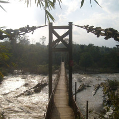 Maz's Bridge.jpeg