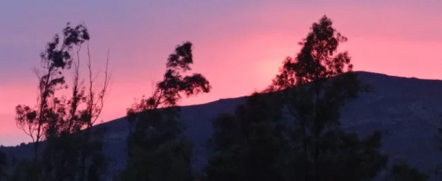 Landscape image for top 2.jpeg