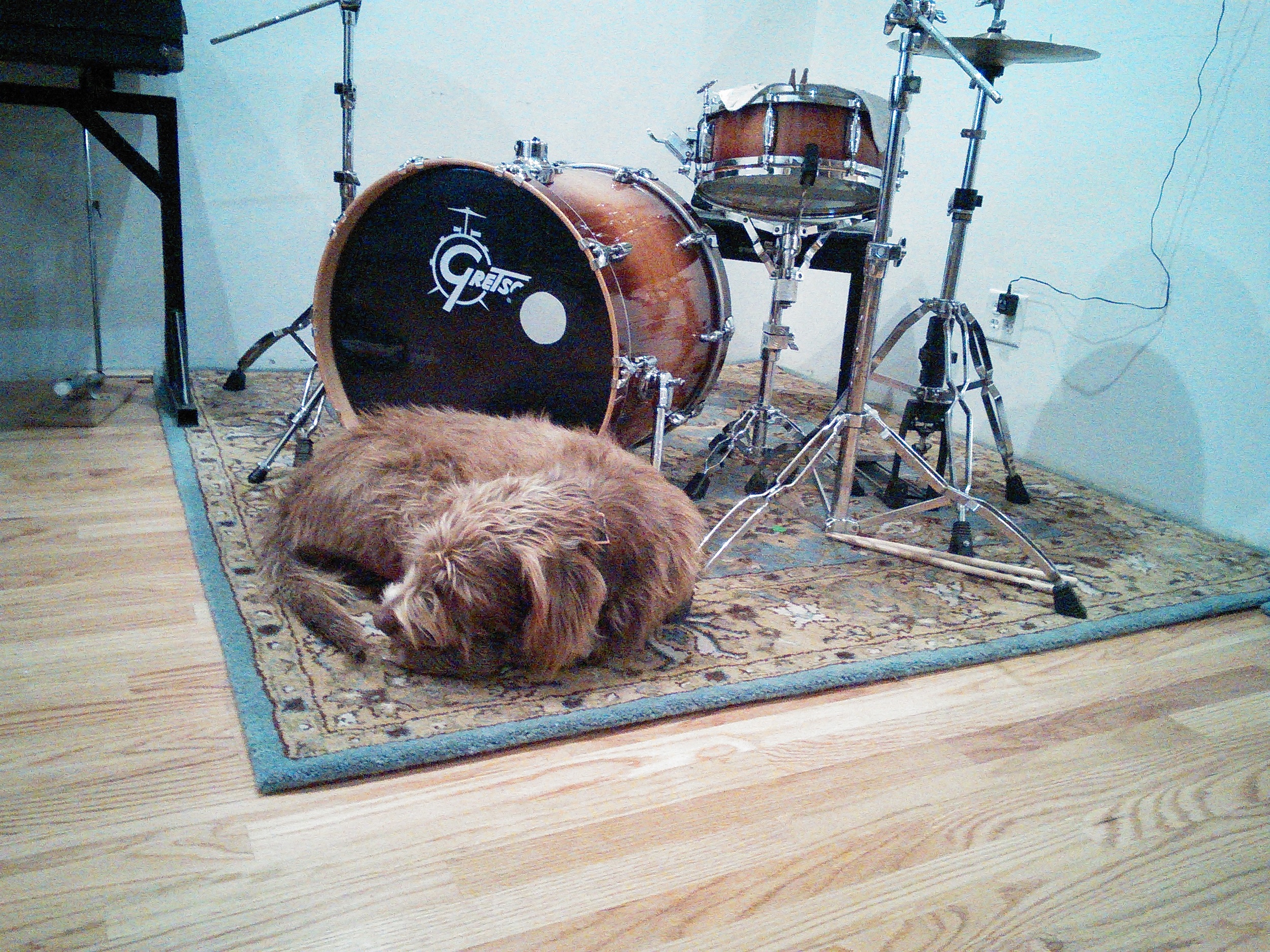 charlie drums.jpg