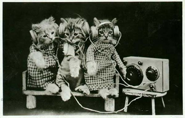 Operators may not be standing by.