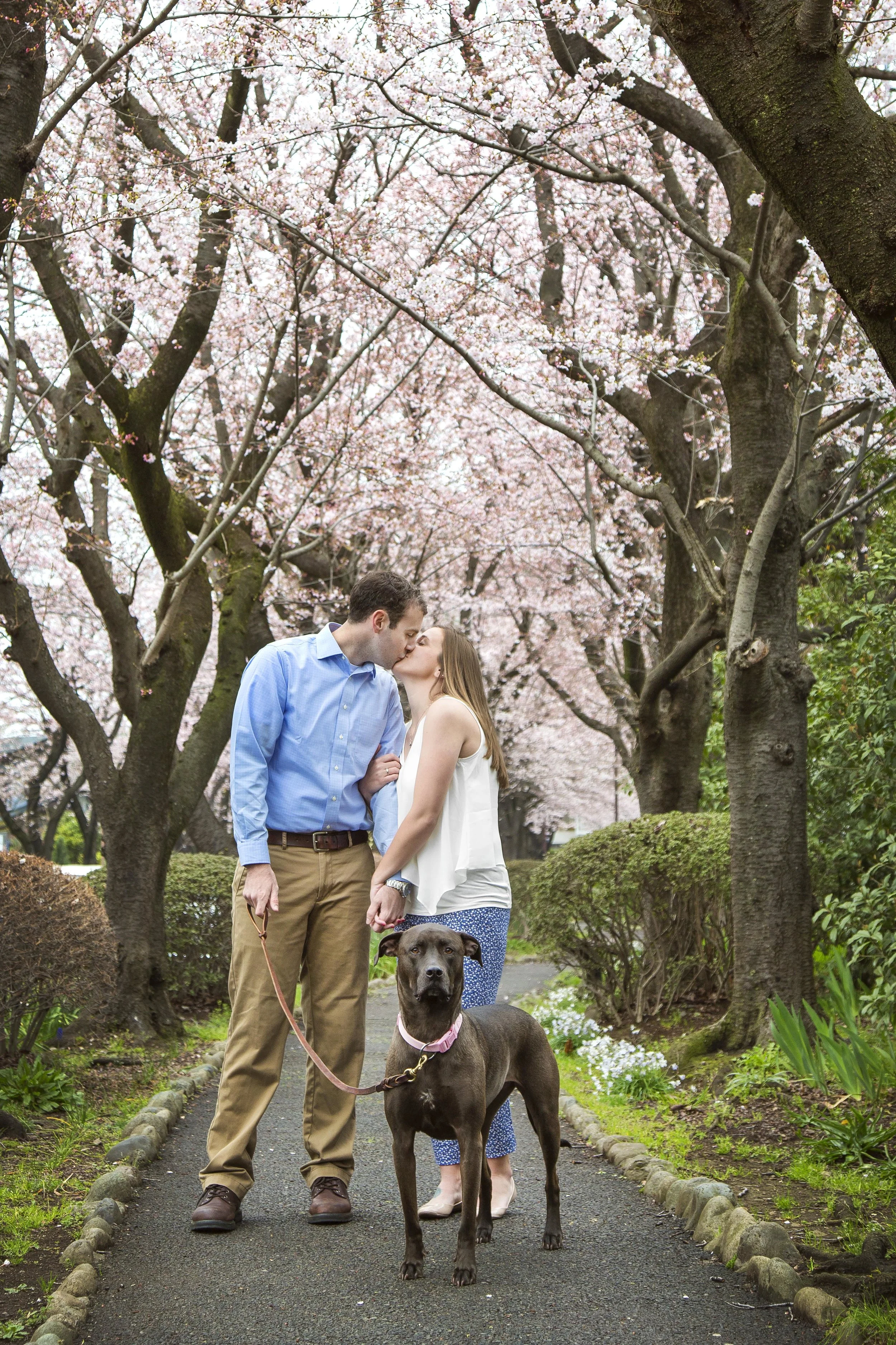 Mandy is amazing! I'm constantly impressed by her creativity and professionalism. We've had her take photos of us a few times, and even with our crazy dog, she manges to take the best photos! I will treasure them forever. - Sarah Fitzsimmons