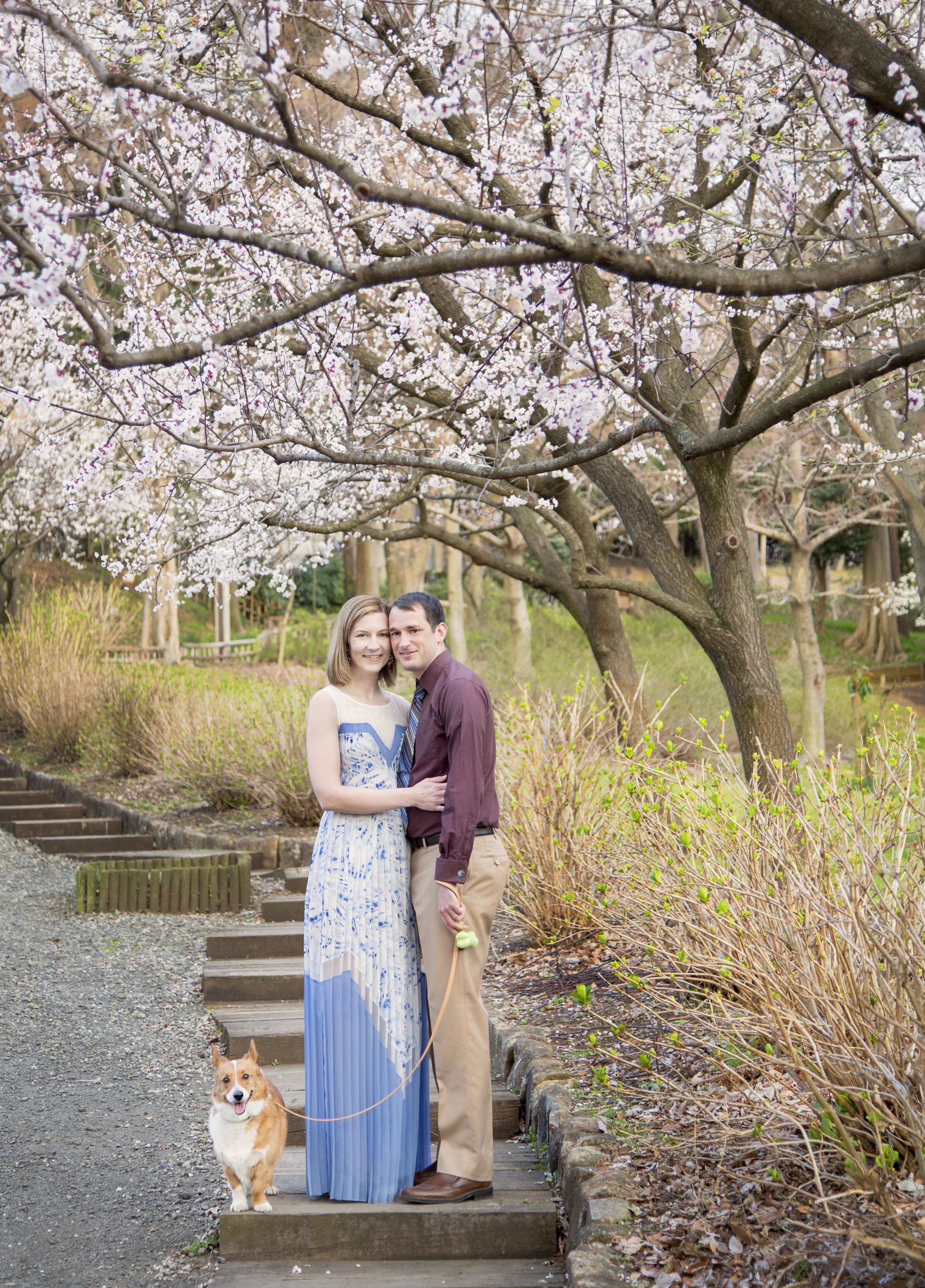 Mandy is always kind, cheerful and patient in photo shoots, and on top of that, her photos are gorgeous! I loved working with her. - Noelle H.