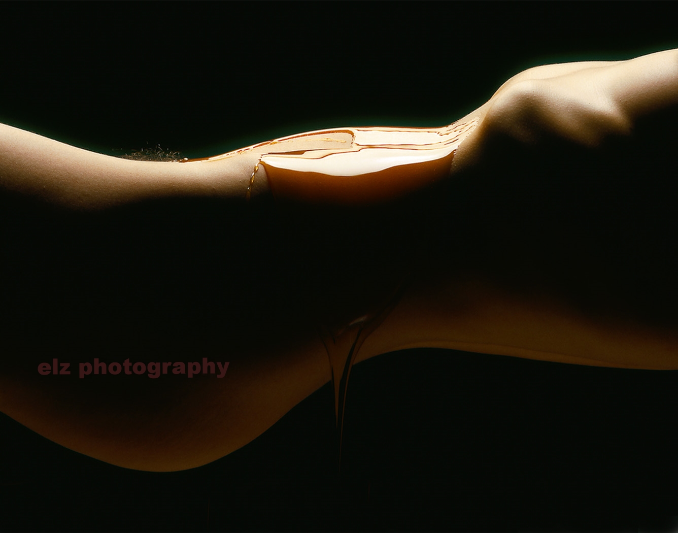 caprice oil2.jpg