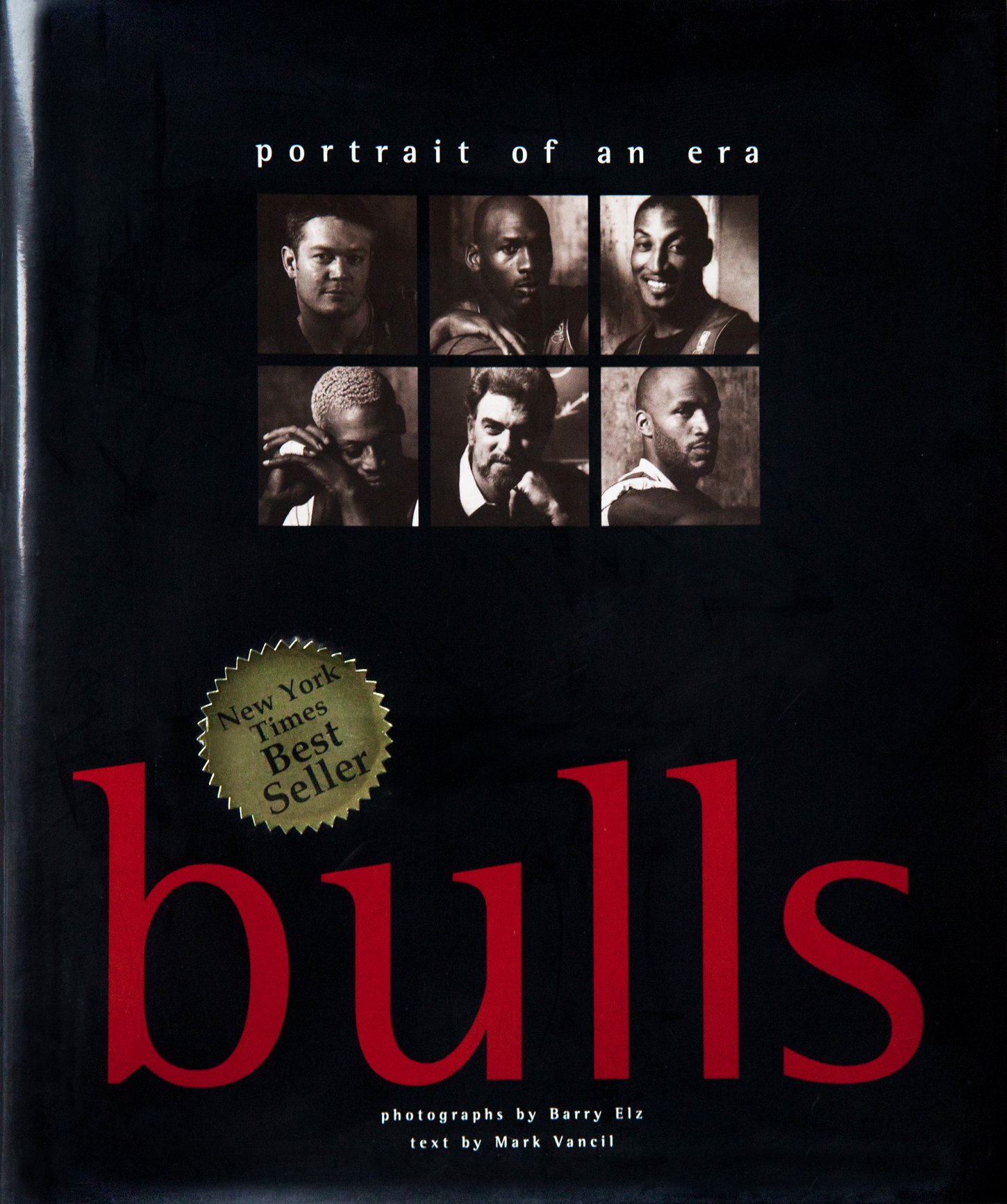 bulls book image.jpg