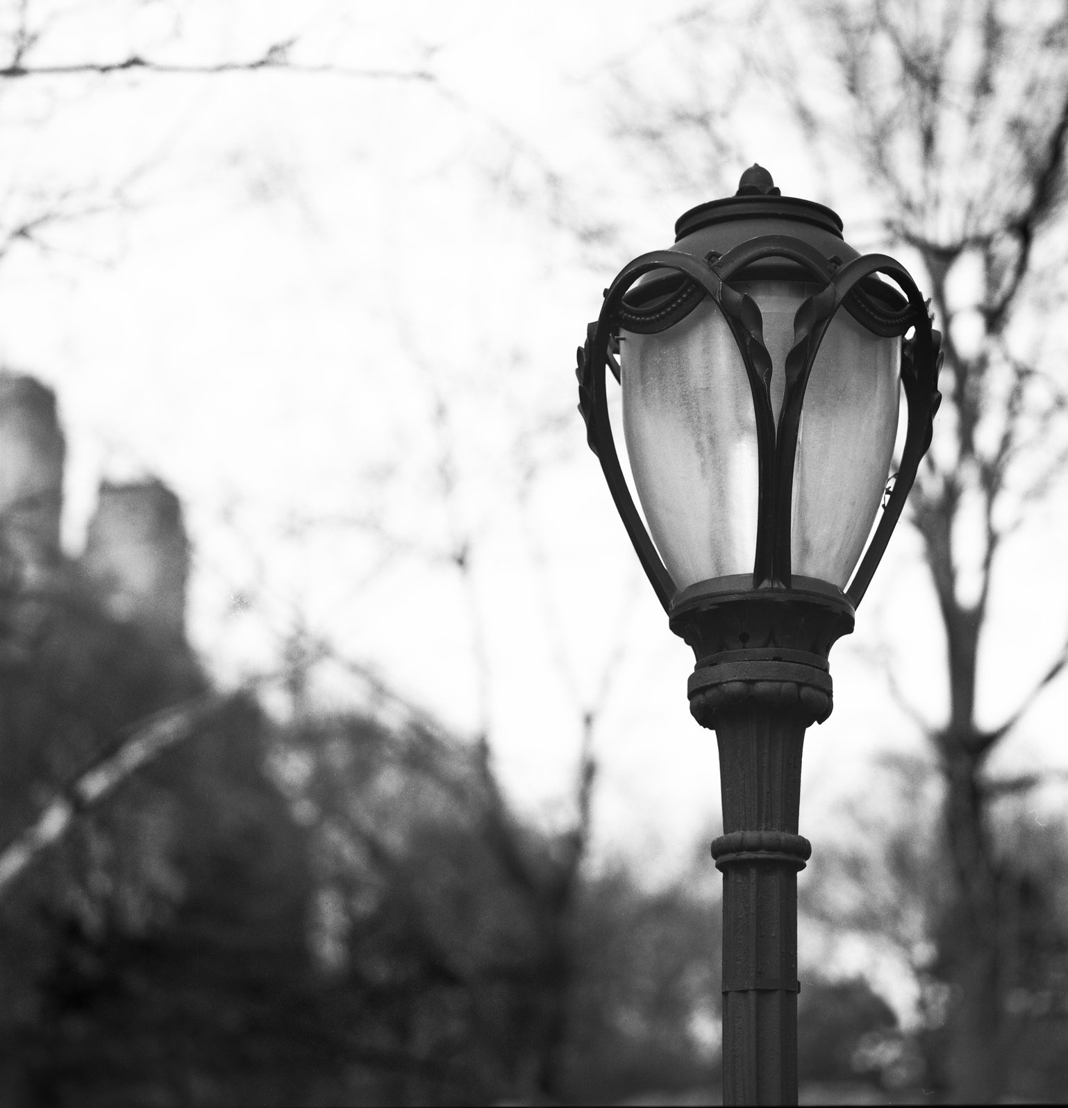 "Street Lamp" NYC 1979