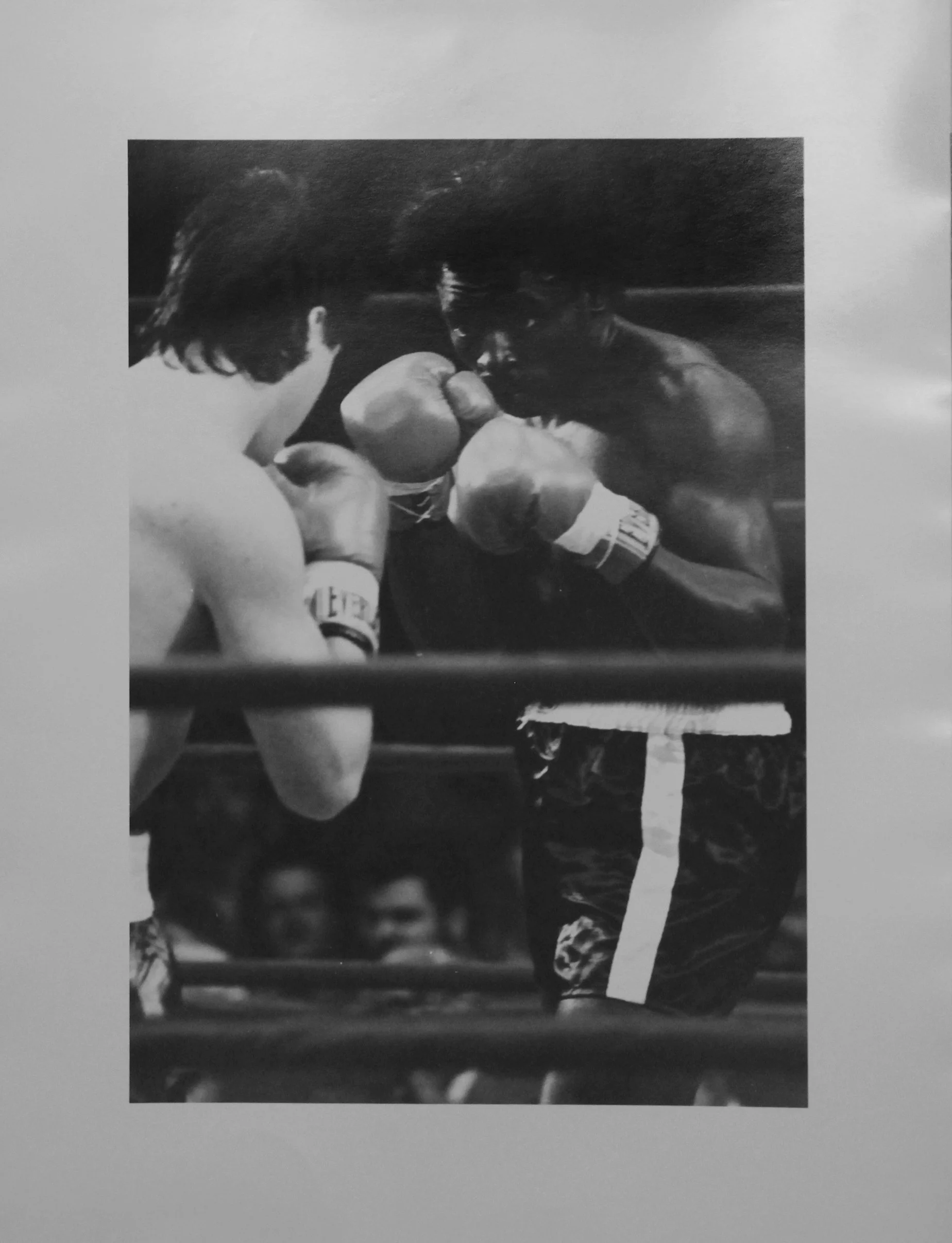 Let's Fight.jpg