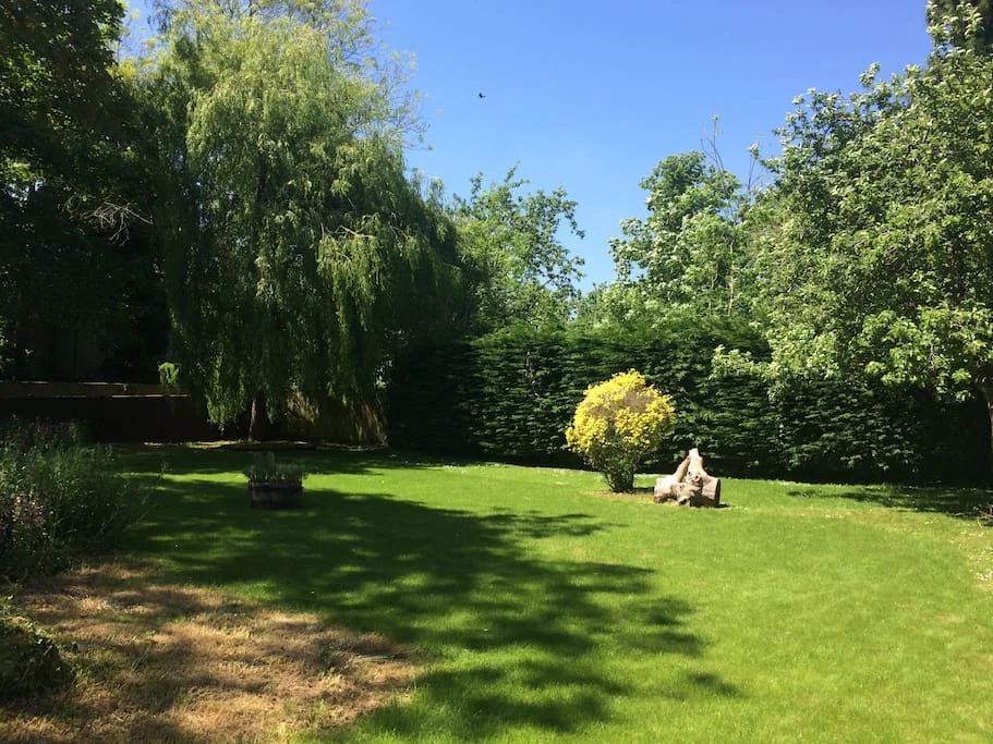 garden.jpg